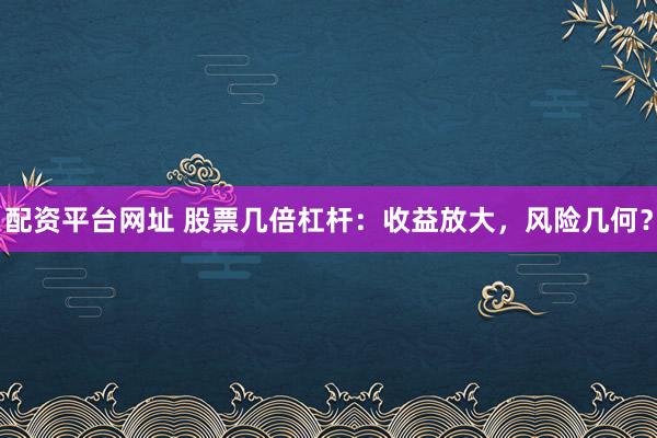配资平台网址 股票几倍杠杆：收益放大，风险几何？