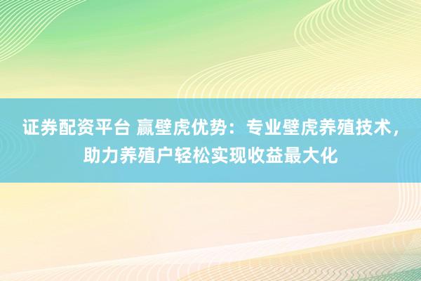 证券配资平台 赢壁虎优势：专业壁虎养殖技术，助力养殖户轻松实现收益最大化