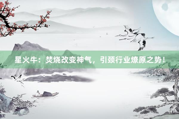 星火牛：焚烧改变神气，引颈行业燎原之势！