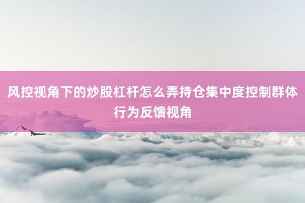 风控视角下的炒股杠杆怎么弄持仓集中度控制群体行为反馈视角