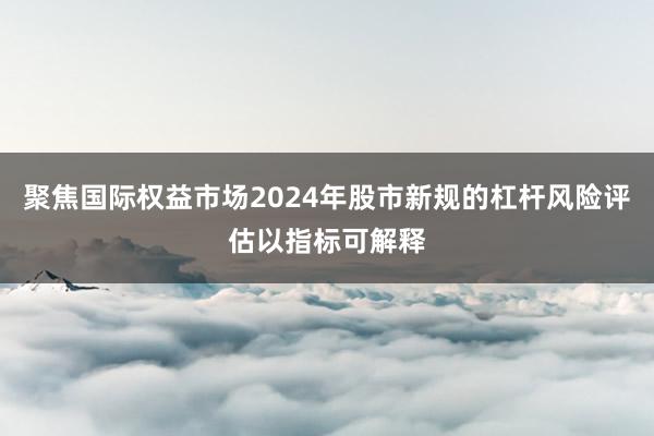 聚焦国际权益市场2024年股市新规的杠杆风险评估以指标可解释
