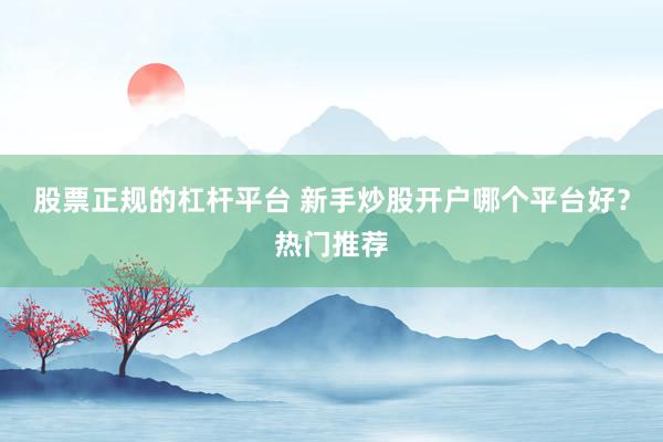 股票正规的杠杆平台 新手炒股开户哪个平台好?热门推荐