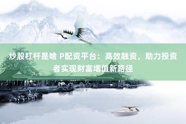 炒股杠杆是啥 P配资平台:高效融资,助力投资者实现财富增值新路径