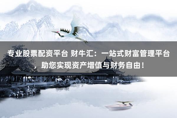 专业股票配资平台 财牛汇：一站式财富管理平台，助您实现资产增值与财务自由！