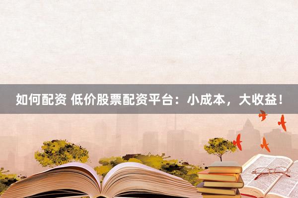 如何配资 低价股票配资平台：小成本，大收益！