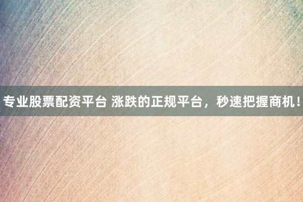 专业股票配资平台 涨跌的正规平台，秒速把握商机！